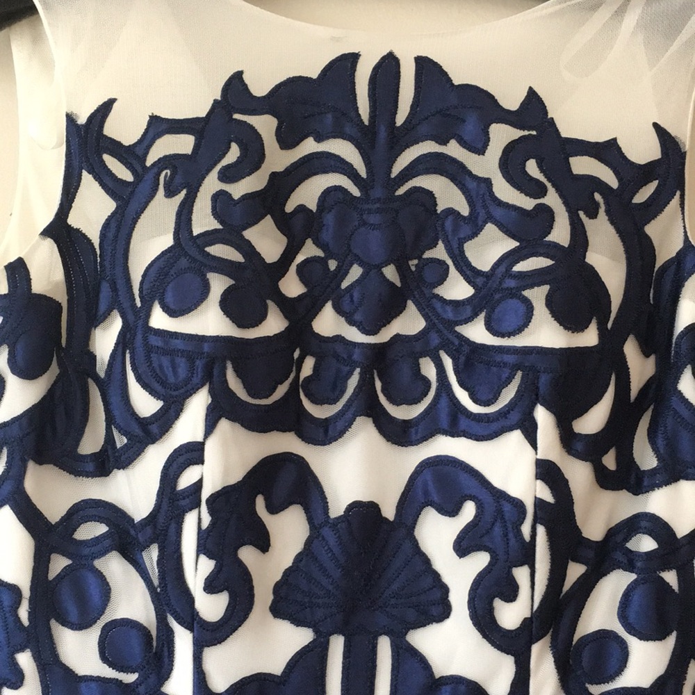 Cachet embroidered tulle dress